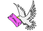msn salah_cool11@hotmail.com